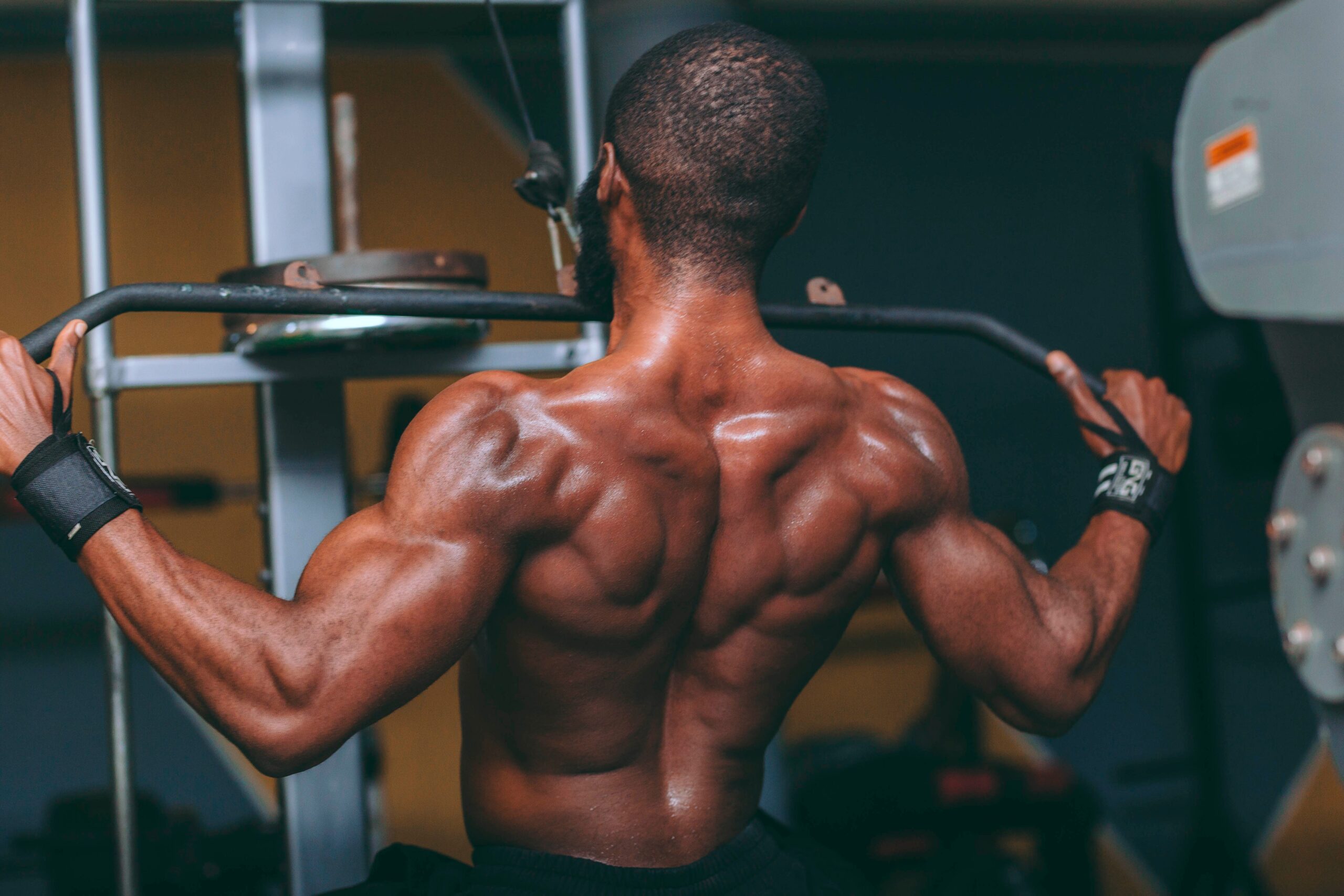 pull day workout